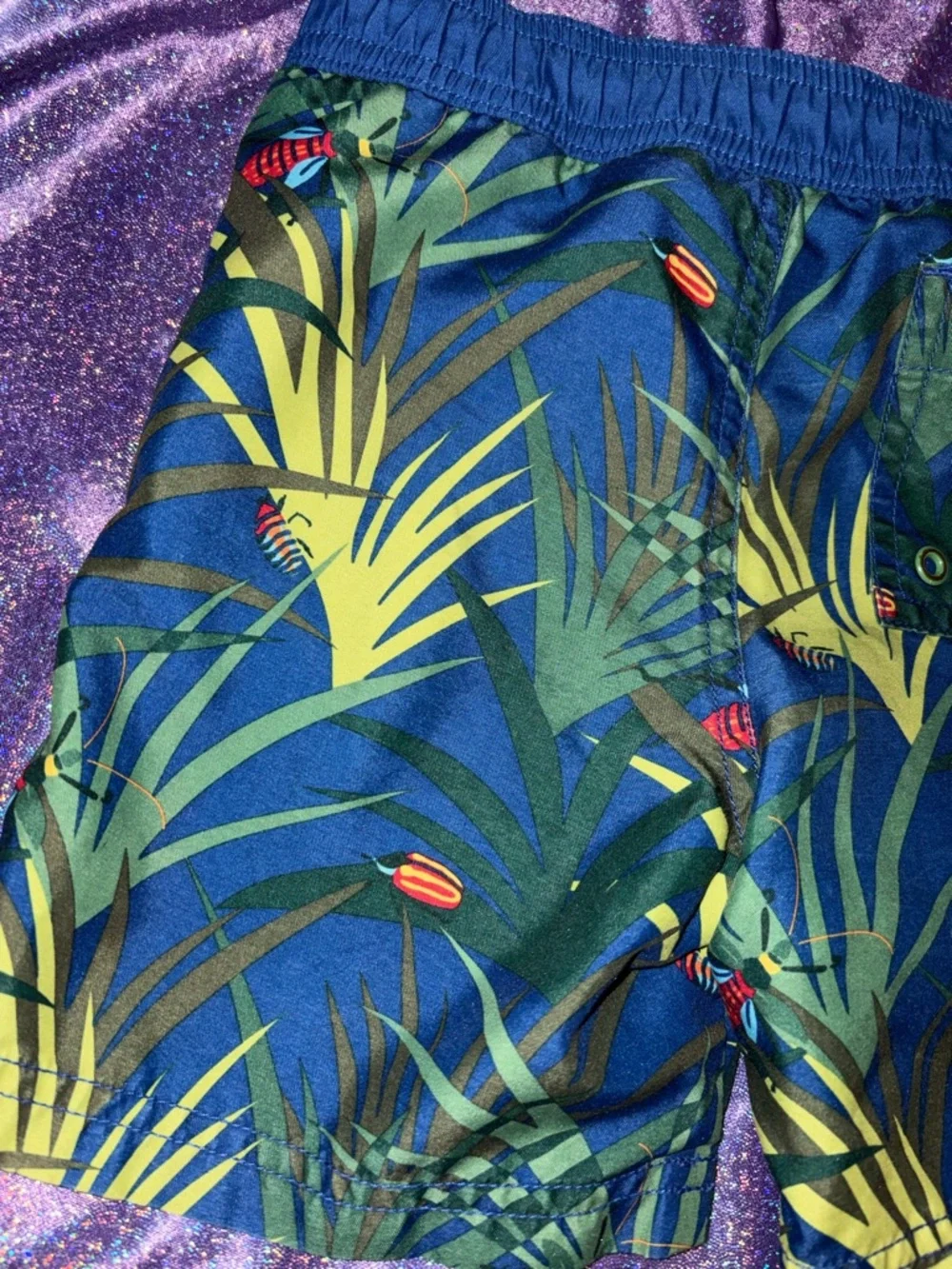 Boys Gymboree Bugs Swim Trunks